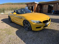 IMG_0769.jpeg