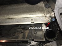 coolant%20leak_694954902.jpg