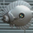 Ghoti