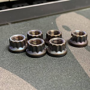 Stainless 12pt Nuts for Intake manifold