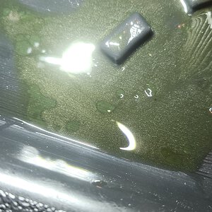 20240830_210422.jpg