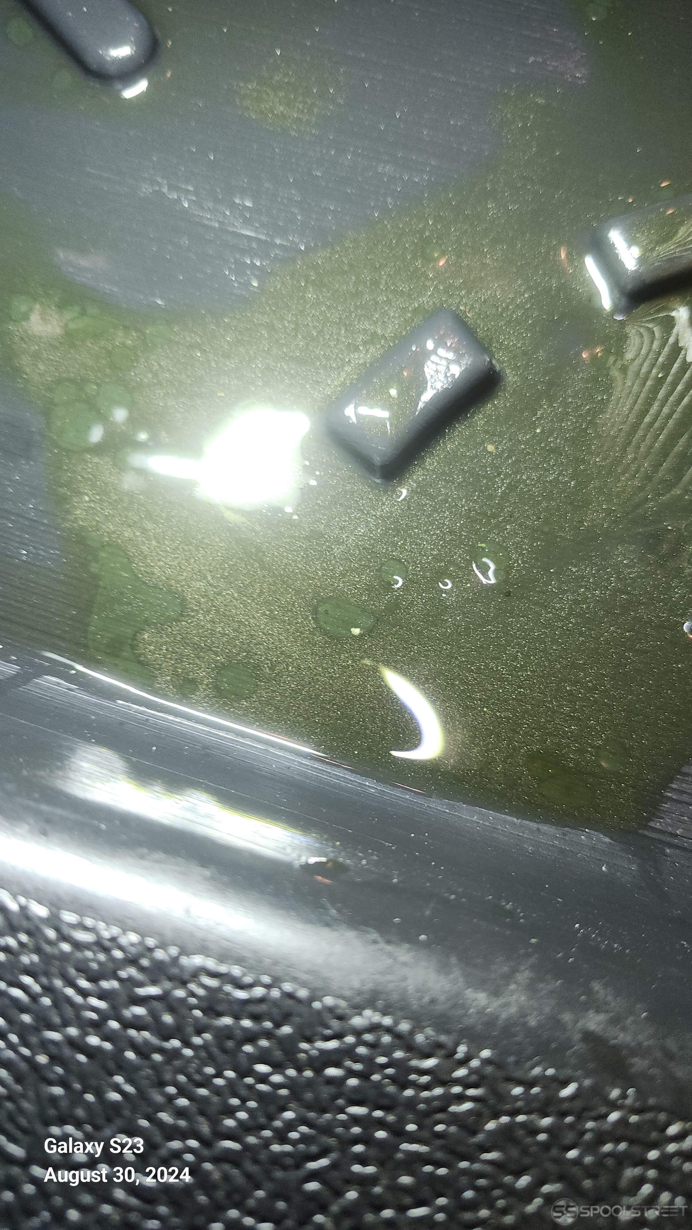 20240830_210422.jpg